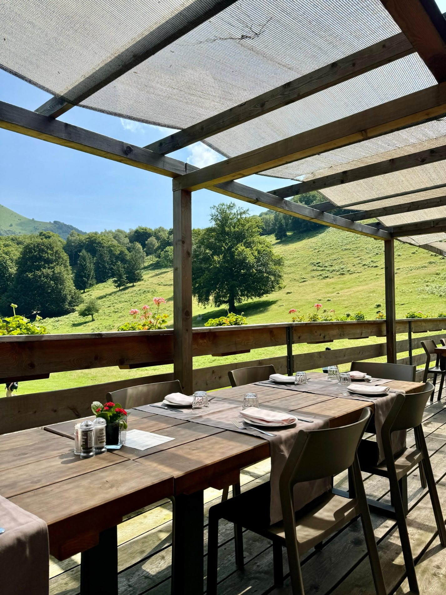 Terrazza con tavoli e panorama dell’Alpe