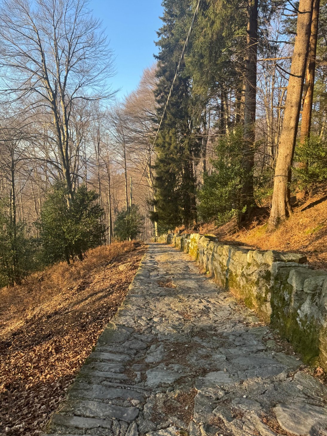 Sentiero in pietra nel bosco