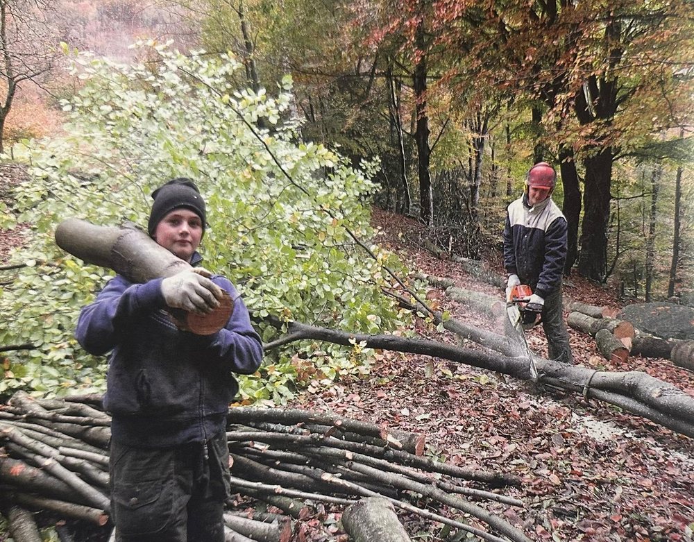 I due fratelli al lavoro nel bosco: uno porta un ciocco, l'altro taglia con la motosega