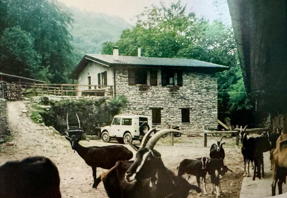 La baita in sasso dell'Alpe con le capre nell'aia, negli anni Novanta